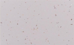 石英石廚房臺面有何優(yōu)勢？