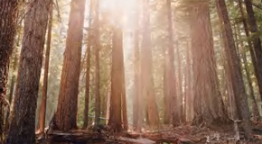 綠色環(huán)保 呵護健康  